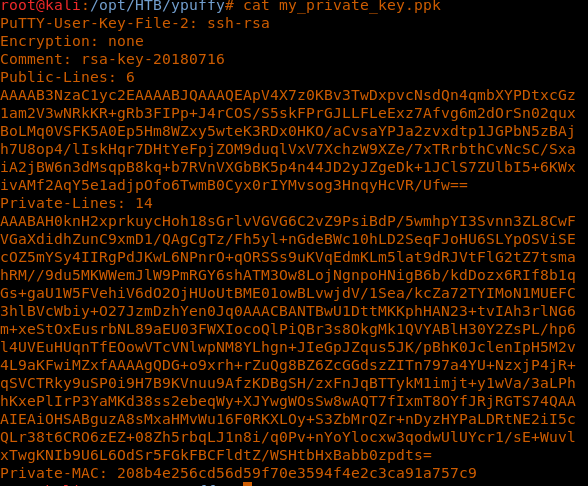 Hack the Box (HTB) machines walkthrough series — YPuffy