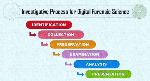 Intellectual Property Investigations