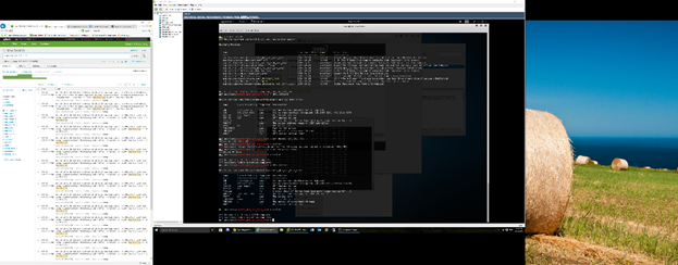 Implementation of a Virtual IDS Device in Passive Mode