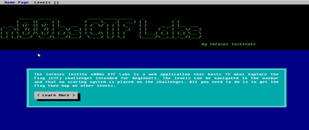 n00bz CTF Challenge #2: Practical Website Hacking