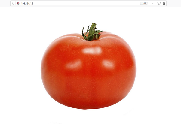 Tomato 1: VulnHub CTF walkthrough