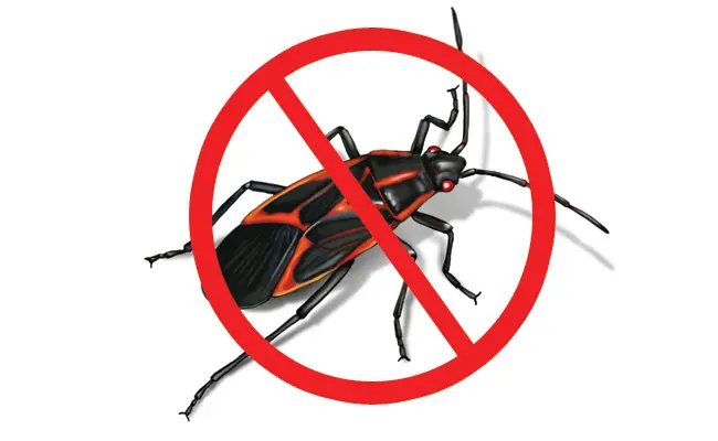 Anti-debugging and anti-VM techniques and anti-emulation [updated 2019]