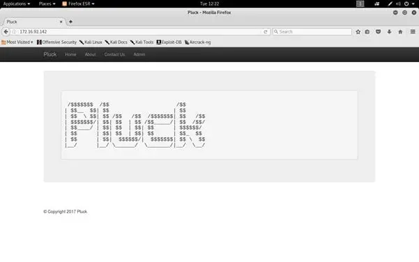 Pluck: 1 CTF Walkthrough